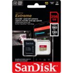 SanDisk microSDXC V30 - 256Gb